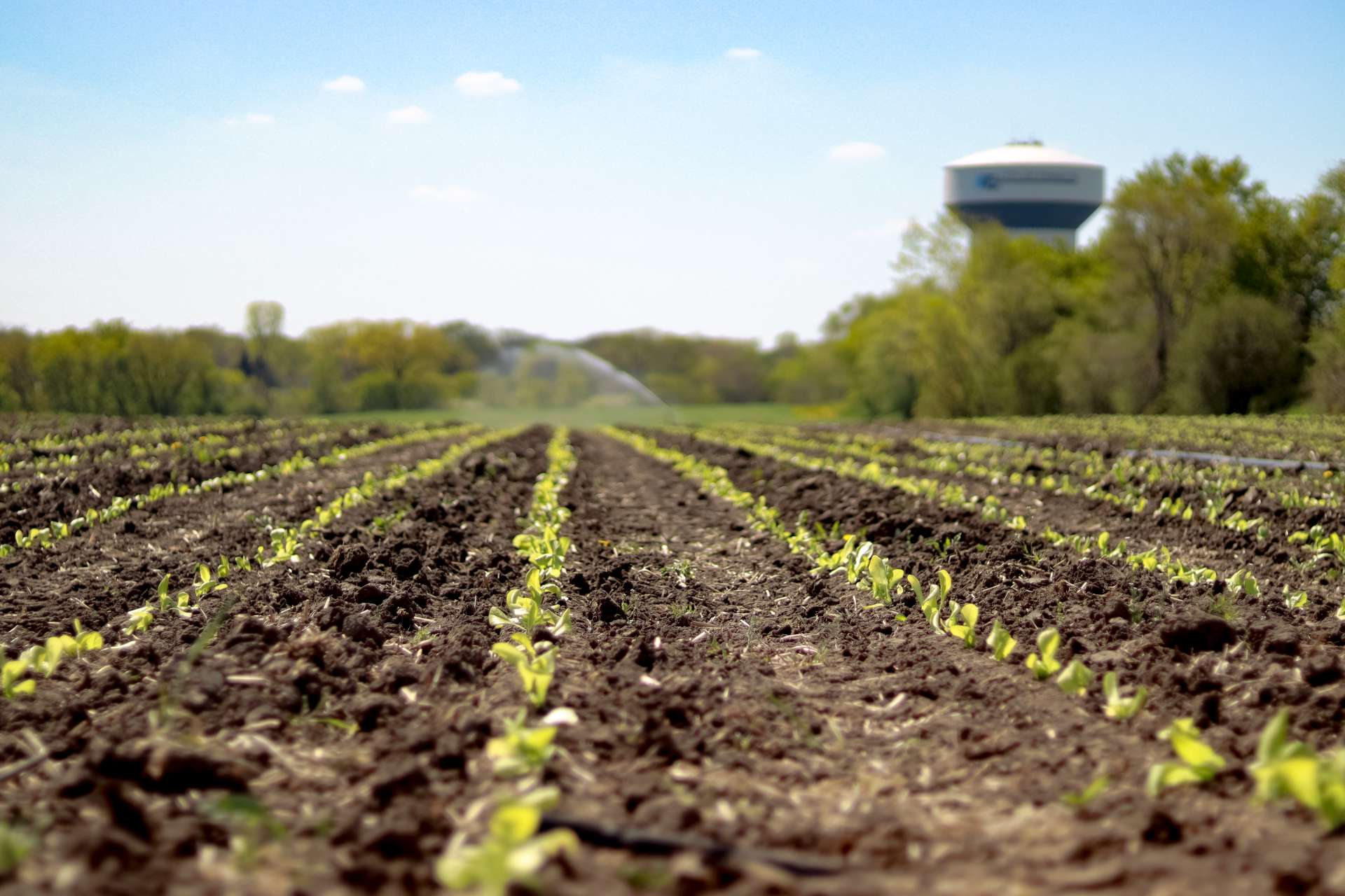 Hunger Task Force Farm fields